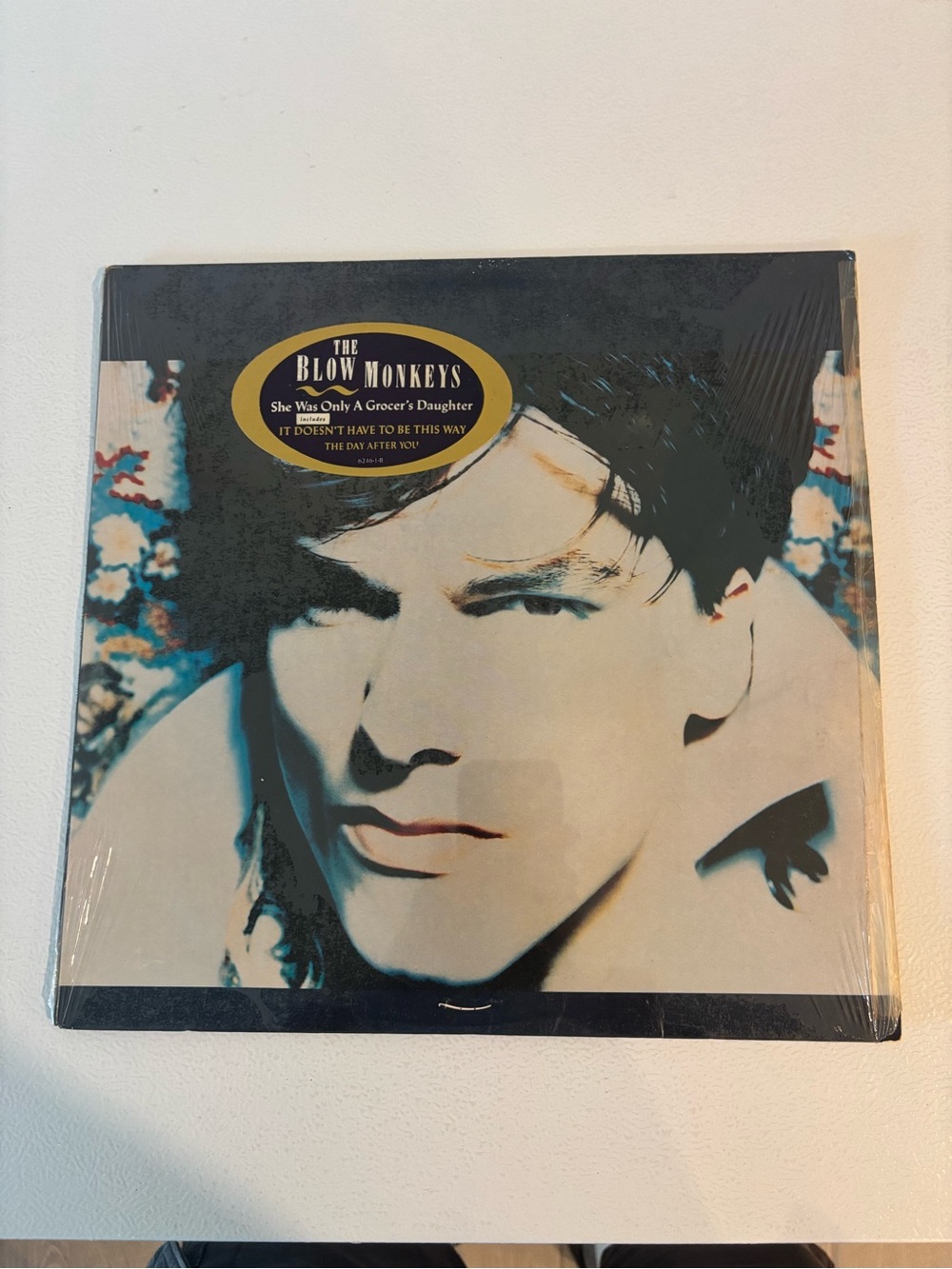 Blue Portrait Vinyl record album